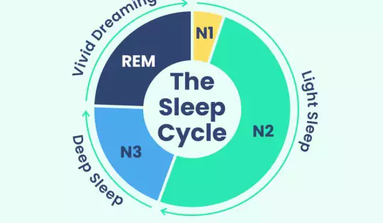 REM Sleep Helps You Process Negative Thoughts and Memories