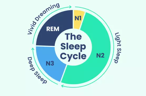 REM Sleep Helps You Process Negative Thoughts and Memories